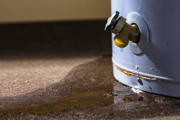 Best Water Damage Assessment and Inspection in South Whittier, CA